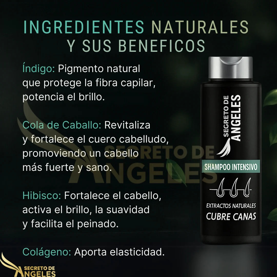 Combo Antiedad Capilar: 3x1 Shampoo Cubrecanas || OBSEQUIO Splash con Resveratrol + ENVIO GRATIS🎁