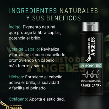 Combo Antiedad Capilar: 3x1 Shampoo Cubrecanas || OBSEQUIO Splash con Resveratrol + ENVIO GRATIS🎁
