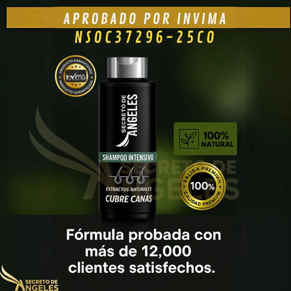 Combo Antiedad Capilar: 3x1 Shampoo Cubrecanas || OBSEQUIO Splash con Resveratrol + ENVIO GRATIS🎁